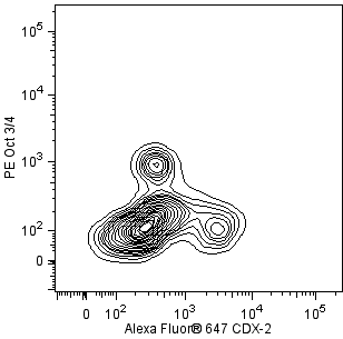PID_22033_TDS_image2.png